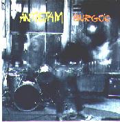 the album cover